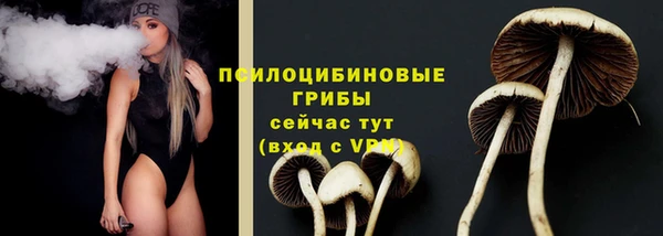 гидропоника Заводоуковск