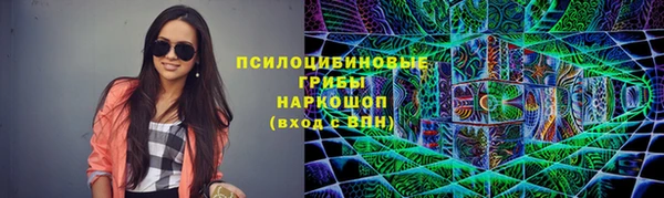 гидропоника Заводоуковск
