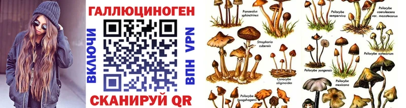 как найти закладки  Сольвычегодск  Галлюциногенные грибы мицелий 